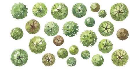 Set of green trees viewed from above for architectural landscape design and garden planning on a flat map project © ZenVectors