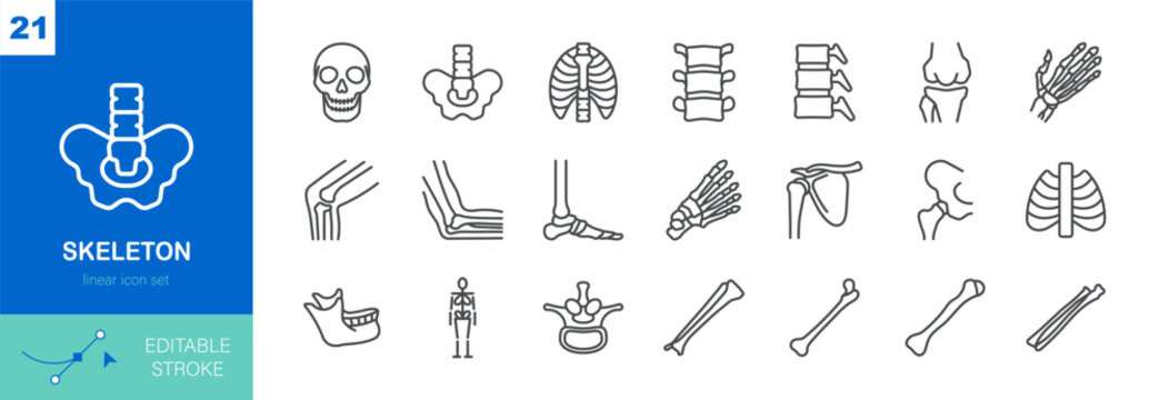 Human Skeleton Linear Icon Set. Thin Line Illustrations of Human Skeletal Bones and Joints Representing Anatomy, Orthopedics, Body Structure and Medical Healthcare Applications. Pixel Perfect Icons.