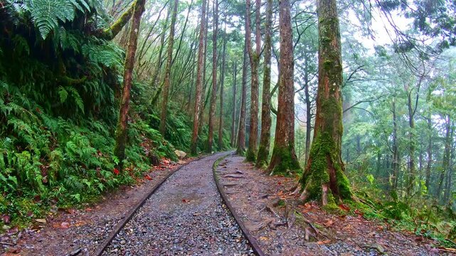 The old railway line on Victoria Peak extends deep into the misty forest through an ultra-wide-angle lens.