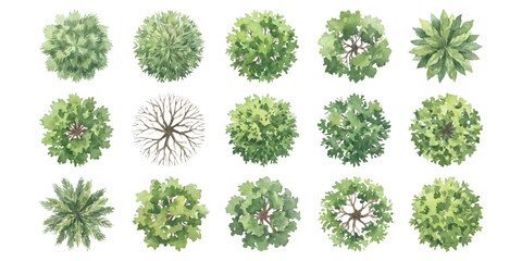 Obraz premium Set of fifteen flat green tree icons for landscape architecture design seen from top view for garden and park planning
