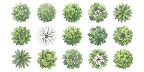 Fototapeten Pistazie Set of fifteen flat green tree icons for landscape architecture design seen from top view for garden and park planning  © ZenVectors