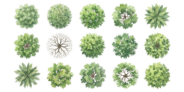 Set of fifteen flat green tree icons for landscape architecture design seen from top view for garden and park planning