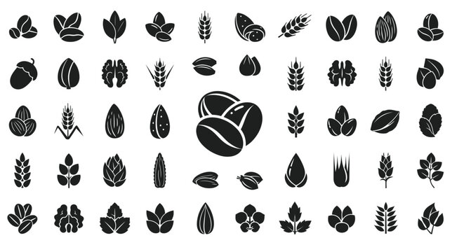 Collection of organic grain seed and nut icons in black silhouette vector style