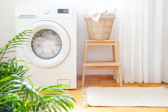 Washing machine, basket with laundry and green houseplant in laundry room