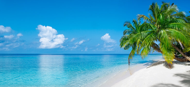 Tropical beach with pure white sand, turquoise sea and coco palms