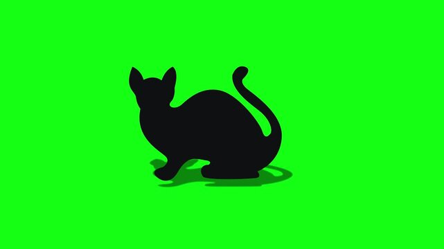 Cat silhouette aimated on green background 