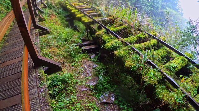 The old railway line on Victoria Peak extends deep into the misty forest through an ultra-wide-angle lens.