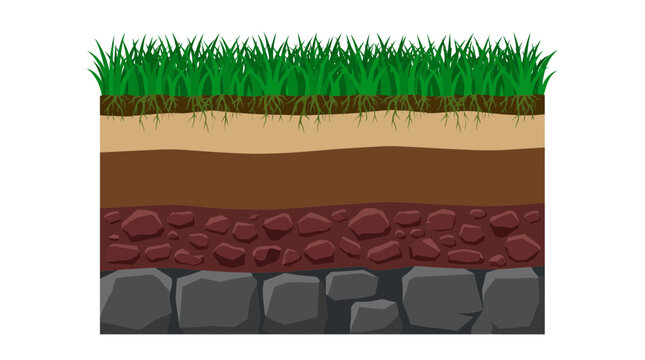 Detailed diagram of earth soil layers showing green grass roots and geological horizons, providing educational resource for science study and illustrating environmental nature concepts