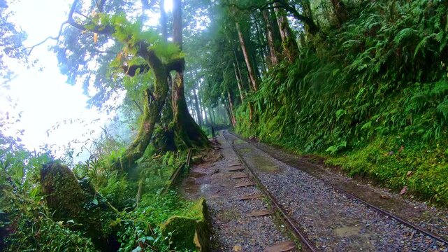 The old railway line on Victoria Peak extends deep into the misty forest through an ultra-wide-angle lens.