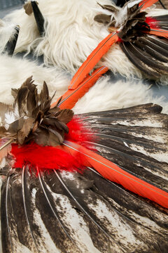 Feather detail on traditional pueblo regalia