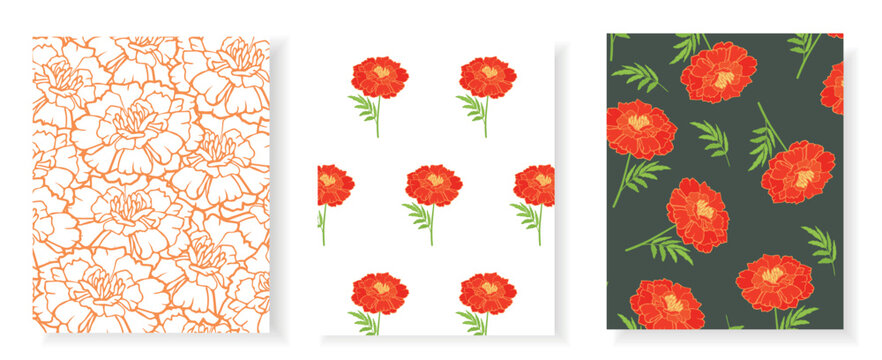 Marigold flowers seamless pattern set. Hand drawn botanical illustrations for textile, wallpaper, wrapping paper. Elegant floral backgrounds in vector format for summer and autumn design projects.