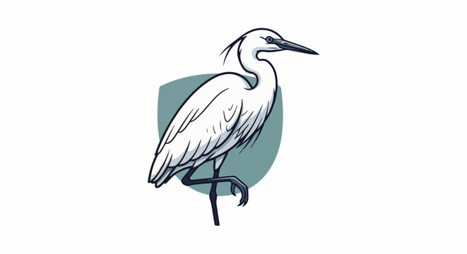 A white heron stands on one leg against a teal oval background
