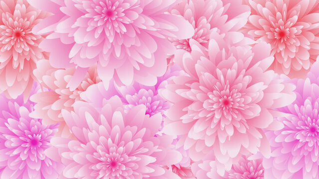 16:9背景、ピンクの花、背景、壁紙、横長、bg、
