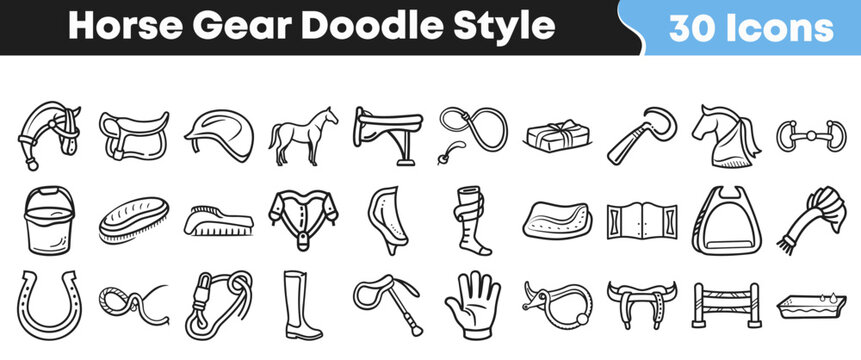 Collection of various horse riding equipment in a hand drawn style