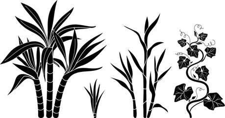 Sugarcane and garden plants silhouettes set, black vector icons © Kazakova Maryia