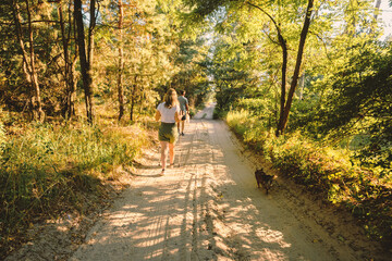 Fototapeta premium Young Couple Enjoying Nordic Walking with Their Dogs on a Scenic Forest Path During Golden Hour Sunset