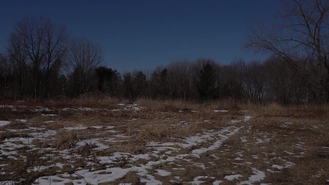 Landscape view of a winter field with patches of melting snow, dry brown grass, and a background of leafless deciduous and evergreen trees under a clear blue sky