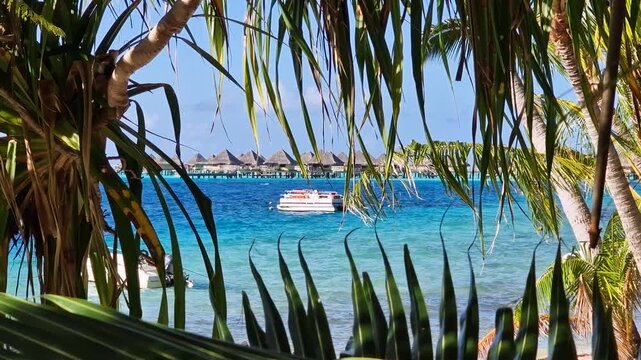 Bora Bora, French Polynesia. Boat in Lagoon and Luxury Bungalows of Tropical Resort, View Behind Palm Trees