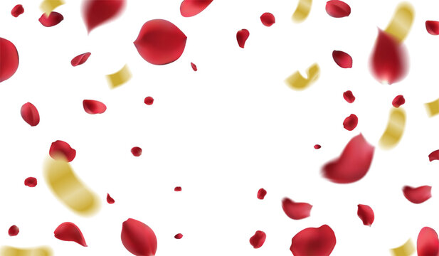 Romantic celebration background featuring a dynamic scattering of realistic red rose petals and shimmering metallic gold confetti floating across a clean for Valentine's Day promotions, 
