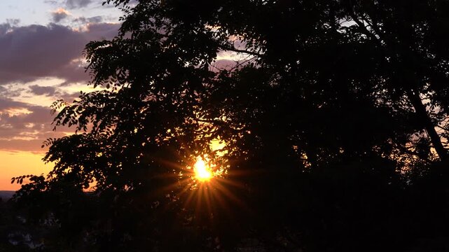 Detalle de del sol entre las ramas de un &aacute;rbol al atardecer. Espa&ntilde;a, Abril de 2026.