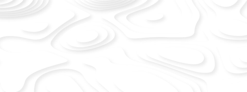 white topography map geography relief diagram texture design. Topography white background and black line world map texture design. Lines Topographic contour lines grid map seamless pattern.