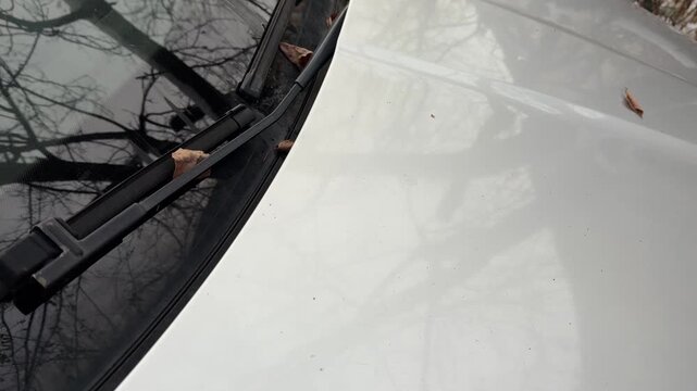 Close up of car hood with side mirror and windshield wipers, automotive exterior detail, vehicle maintenance and driving concept, shallow depth of field