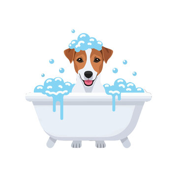 A happy dog sitting in a white bathtub filled with soap bubbles