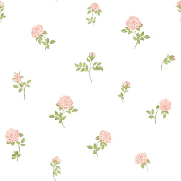 Watercolor seamless pattern with delicate roses. Isolated floral illustration in provence style for home textile, summer fabric or decorative background, hand-drawn print.