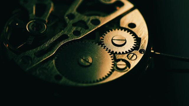 Macro view of metal cogs and gears