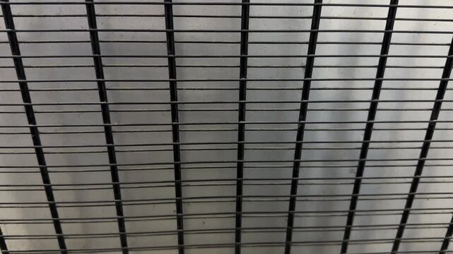 refrigerator condenser grill close up, rear cooling coil protection grid of household appliance