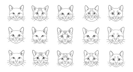 Obraz premium Grid of fifteen different cat face illustrations in a clean black and white outline style showing various breeds and patterns.