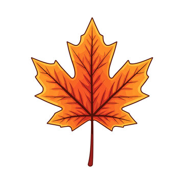 A vibrant, detailed illustration of a single maple leaf in autumn colors, showcasing its distinct lobed shape and intricate venation.
