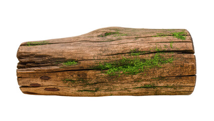 Fototapeta premium Isolated weathered wooden log with green moss on its surface, rustic wood texture element