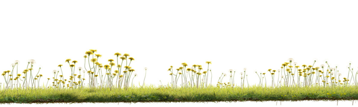 Wildflower grass border isolated on transparent background for nature landscape and environment design asset. 3D rendering.