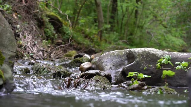 Natural scenery, a mountain stream. Clean spring water from the high hills.
