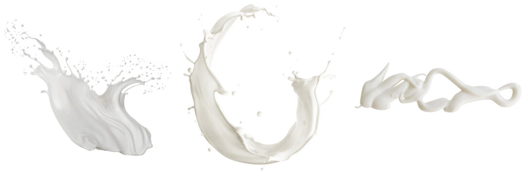 Three dynamic splashes of white liquid, likely milk, isolated on a transparent background.
