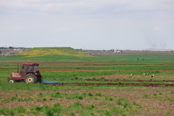 Obraz premium Tractor plowing field. Storks grassy field. High quality photo