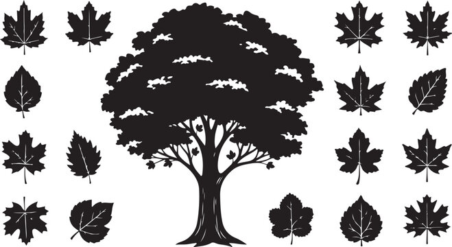 Big tree and various forest leaves silhouette set