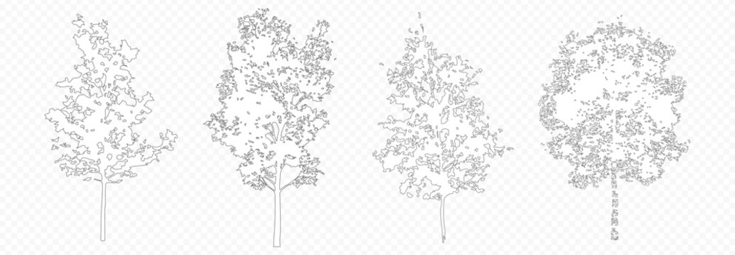 Architectural Drawings, Minimal style cad tree line drawing, Side view, set of section wetland forest outline for landscape design drawing. 