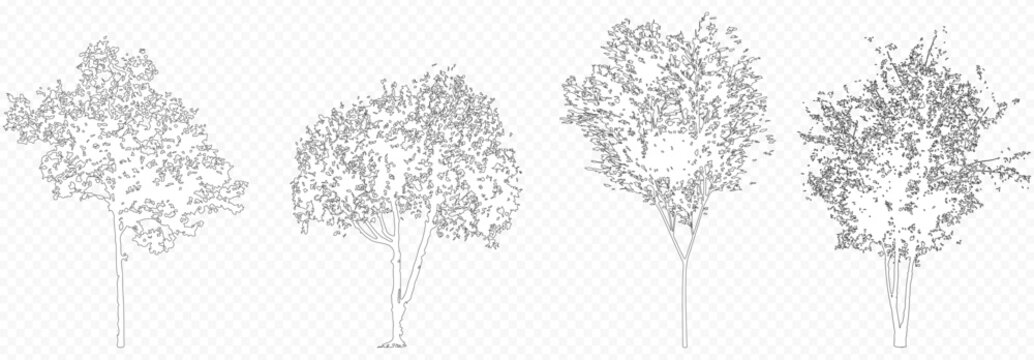 Architectural Drawings, Minimal style cad tree line drawing, Side view, set of section wetland forest outline for landscape design drawing. 
