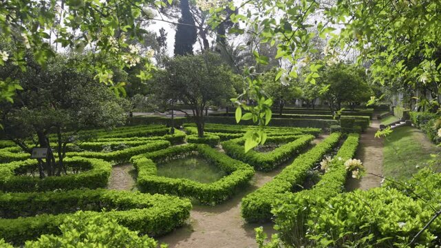 Spring garden grows in Parque de Maria Luisa, Seville, Spain. Geometric green hedges form labyrinth in Seville, Spain. Sunlight illuminates plants in Parque de Maria Luisa, Seville, Spain