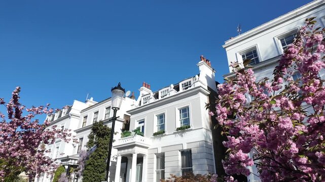 Strolling through a quaint london street with elegant georgian houses and pink cherry blossoms on a sunny spring day, showcasing the idyllic neighborhood of notting hill