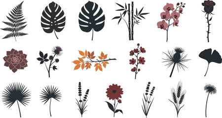 Collection of stylized botanical silhouettes including leaves, flowers, and plants fern monstera bamboo © Graphic Shops