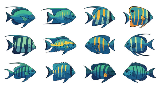 Collection of Tropical Fish: Diverse Marine Life, Vibrant Colors, Underwater World