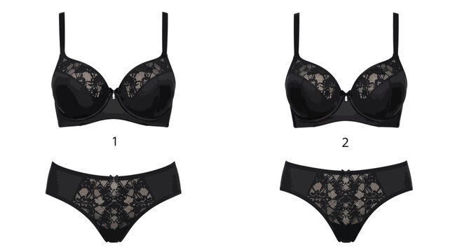 Elegant Black Lace Bra and Panty Set - Two Styles