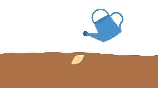 Animation showing seed germination from seed to young plant, illustrating plant growth stages, roots, shoots, and leaves in a simple botanical educational style.