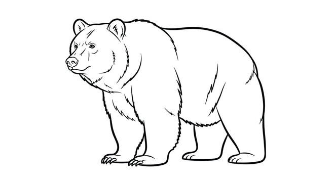 A black and white line drawing illustration of a standing bear looking to the left on a plain background