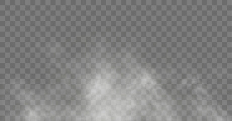 Halloween horror fog with freezing vapour and blowing smoke motion, abstract wallpaper design scene © IULIIA