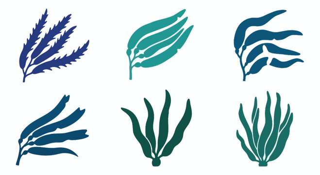 Set of Abstract Seaweed Illustrations in Blue and Green Tones