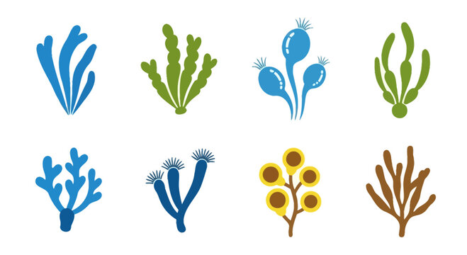 Set of colorful cartoon seaweeds and corals, isolated on white background